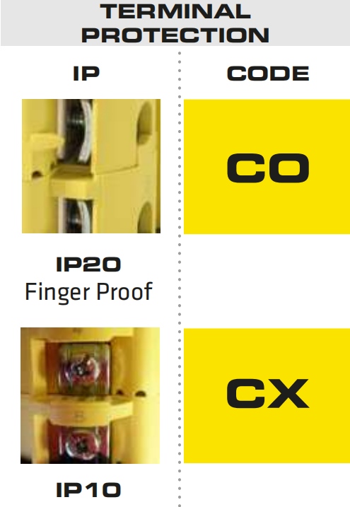 2. Giovenzana C0 and CX terminal protection