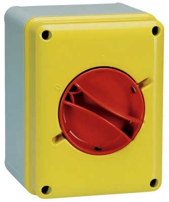 Lewden Isolator Switch box