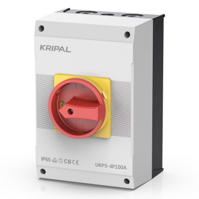 VDE-Kripal-100A-Isolator-Switch-Single-2way-3phase-Waterproof-Rotary-Switch
